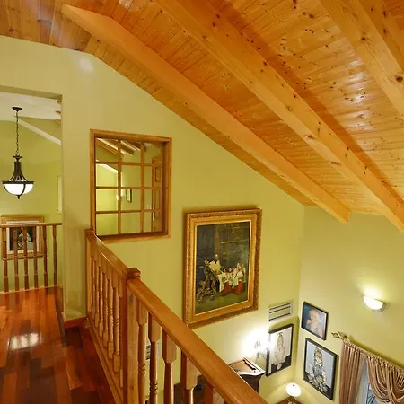Villa Izvor *